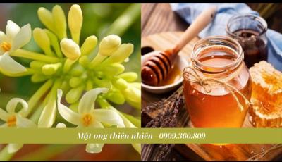 Cách Ngâm Hoa Đu Đực Với Mật Ong Tốt Cho Sức Khỏe