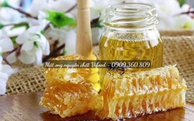 Mua Mật Ong Rừng, Mật Ong Thiên Nhiên Nguyên Chất Bình Dương